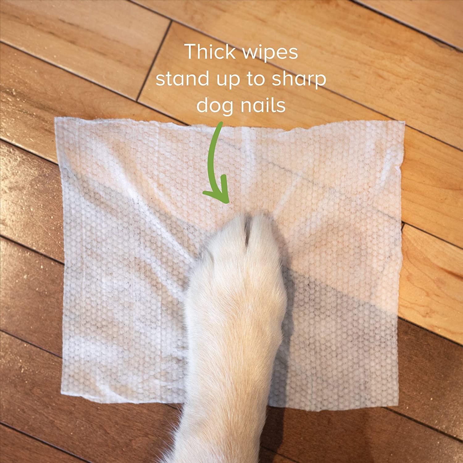 Wholesale Organic Pet Eye Wet Wipes Ear Cleaning Wipes For Dog and Cat