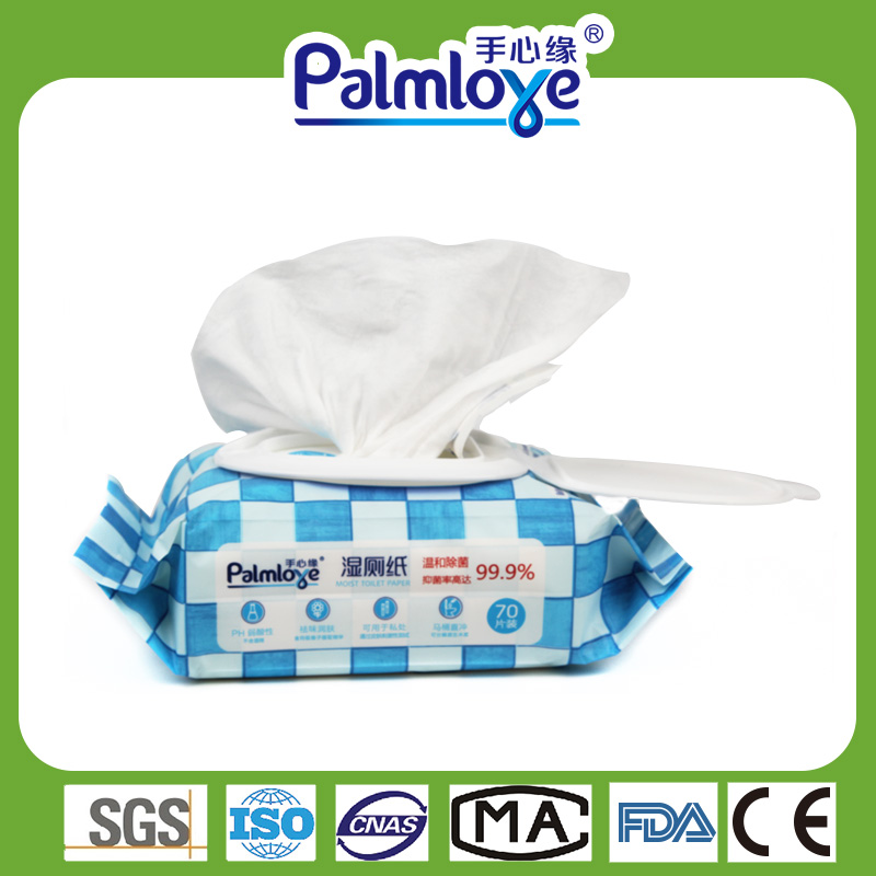 Household Flushable Moist Toilet Wipes