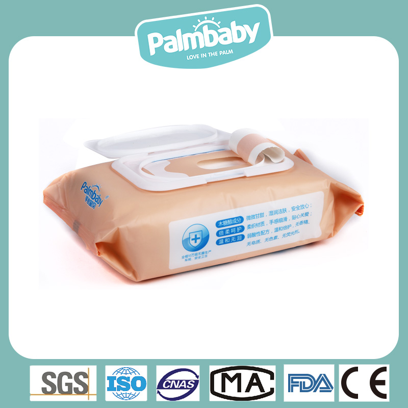 Palmjoy Disposal 100 Counts Antibacterial Surface Wipes for Adult or Hospital Use