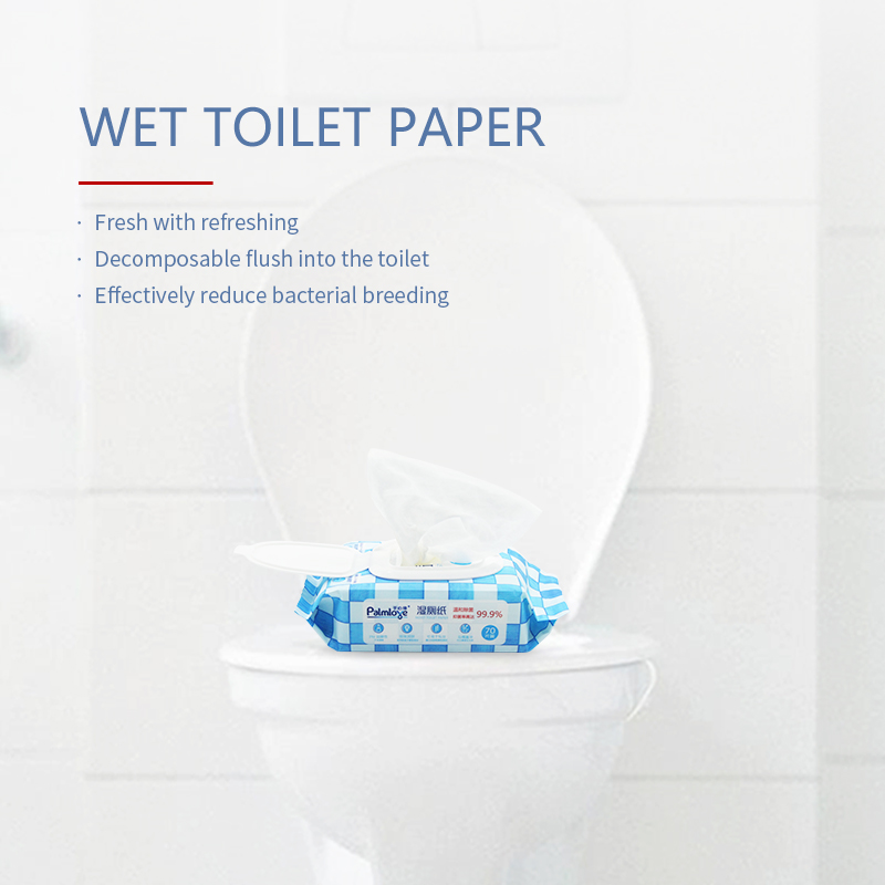 Household Flushable Moist Toilet Wipes, eco-friendly, moist wet wipes